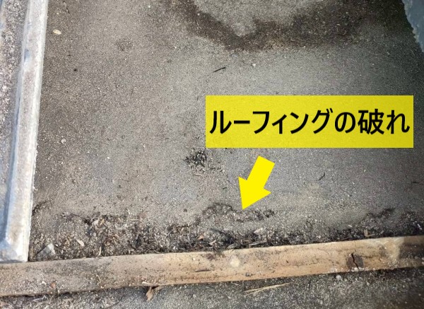 ルーフィングの破れ　セメント瓦屋根